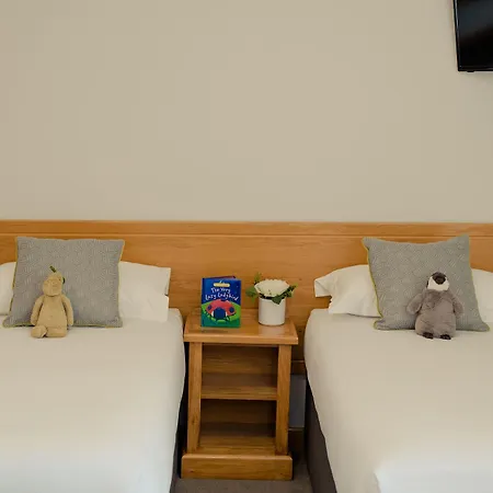 Viking Hotel Waterford